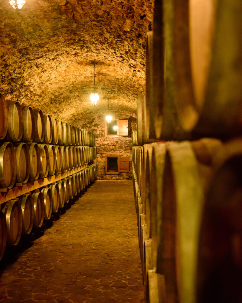 Wine barrels in wine-vaults in order. Wine bottle and barrels in winery cellar